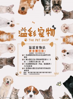專業寵物服務，呵護愛寵健康與快樂